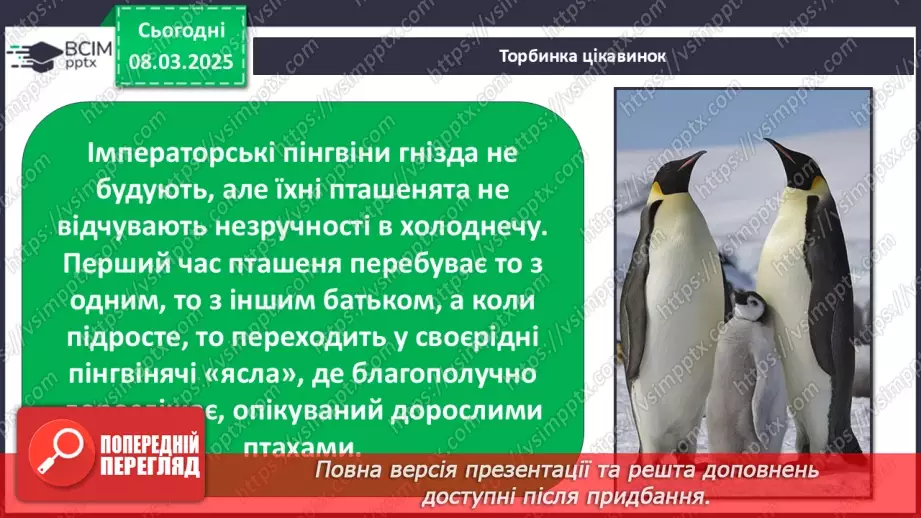 №0076 - Чому птахи в’ють гнізда39 №0076 - Чому птахи в’ють гнізда39
