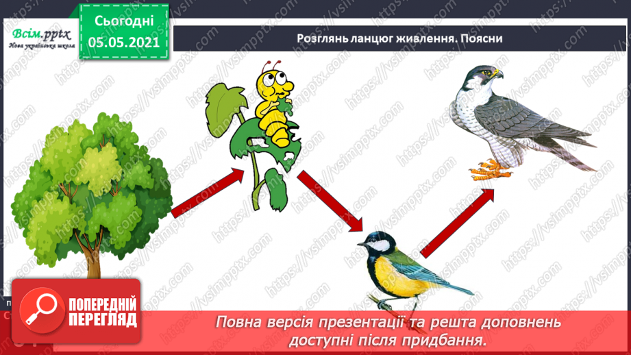 №039 - Тварини28