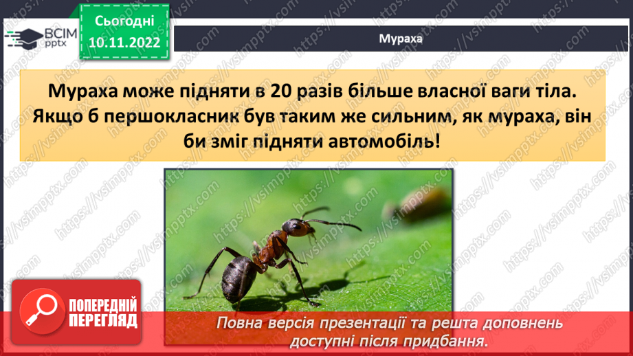 №037 - Найсильніші тварини.10