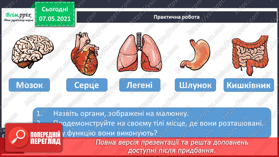 №049 - Яку будову має наше тіло26 №049 - Яку будову має наше тіло26