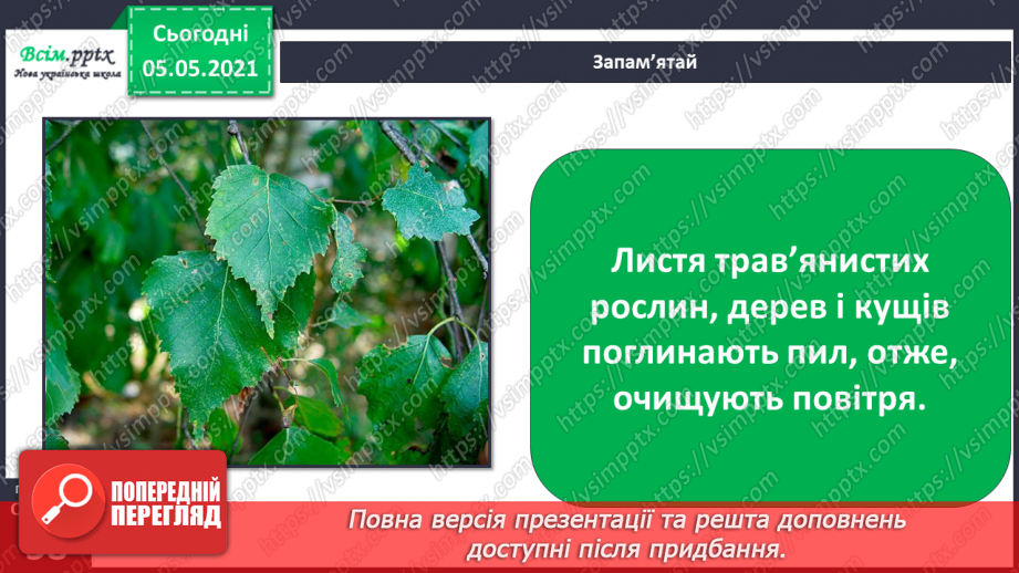 №036 - Квіткові рослини.16