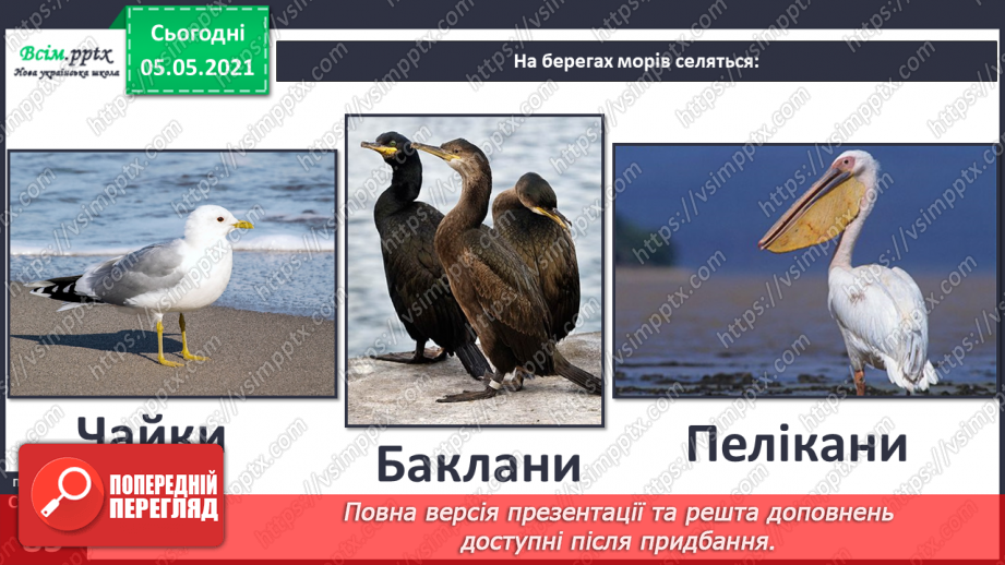 №053-54 - Природне угруповання—море. Подорож- спостереження «Природне угруповання нашої місцевості»19 №053-54 - Природне угруповання—море. Подорож- спостереження «Природне угруповання нашої місцевості»19