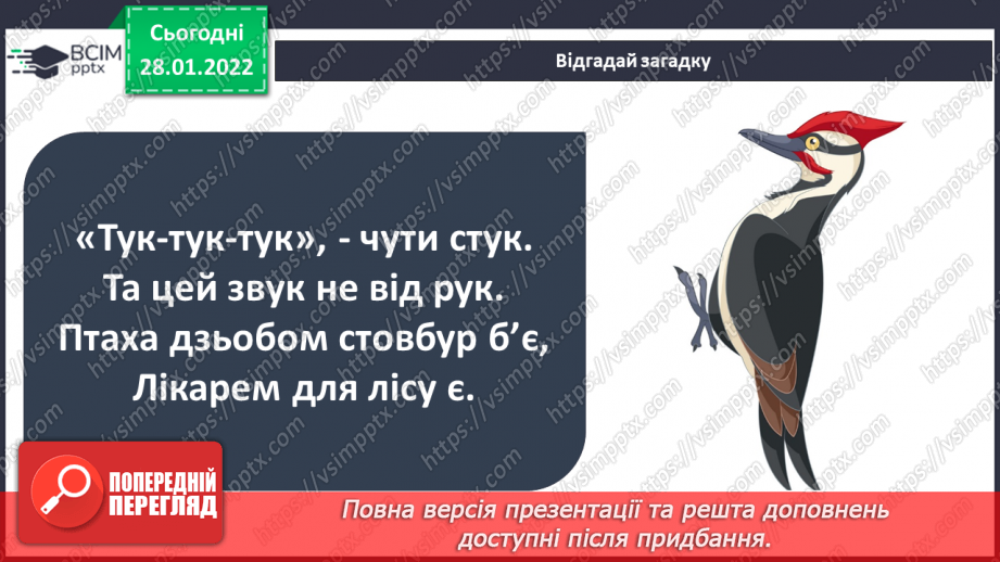 №061 - Як невидиме може стати видимим? досліджуємо разом. Спостереження за пташками14