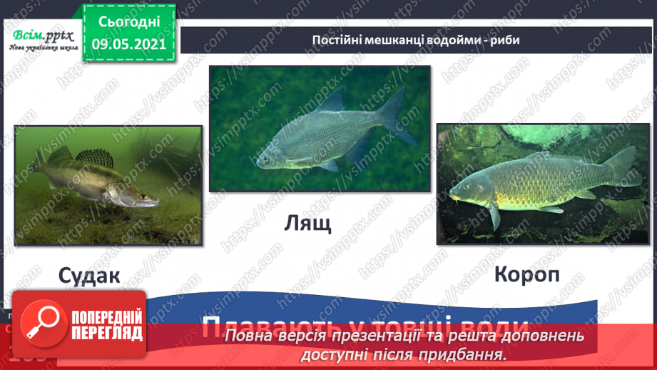 №074-75 - Які тварини живуть на луках, у степах і водоймах?26