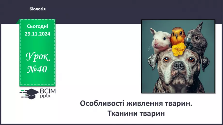 №40 - Особливості живлення тварин. Тканини тварин (продовження).0 №40 - Особливості живлення тварин. Тканини тварин (продовження).0