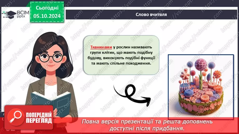 №20 - Вищі рослини багатоклітинні організми з тканинами та органами.8