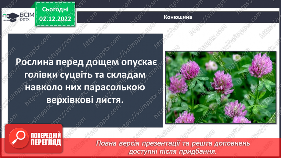 №32 - Проєктна робота. Презентаційна робота на тему «Передбачення погоди за поведінкою тварин і рослин»11 №32 - Проєктна робота. Презентаційна робота на тему «Передбачення погоди за поведінкою тварин і рослин»11
