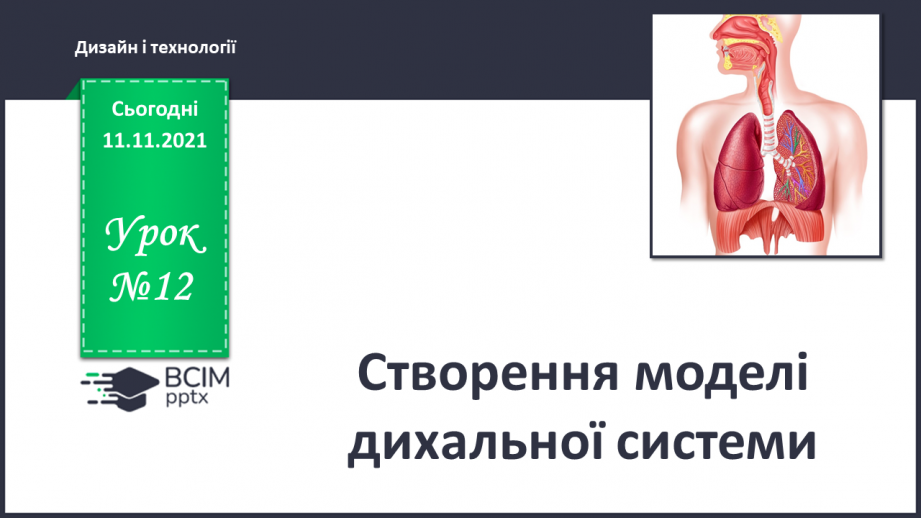 №12 - Створення моделі дихальної системи.0