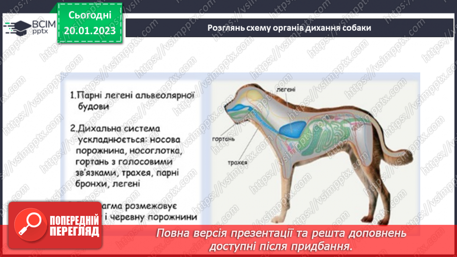 №39-40 - Як живляться та дихають тварини. Корм для тварин та способи його добування.29