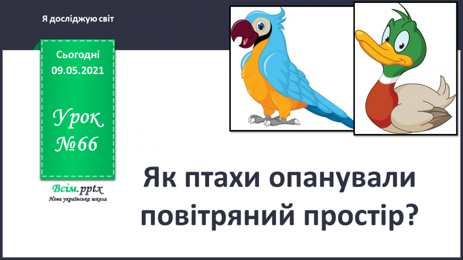 №066 - Як птахи опанували повітряний простір?0 №066 - Як птахи опанували повітряний простір?0