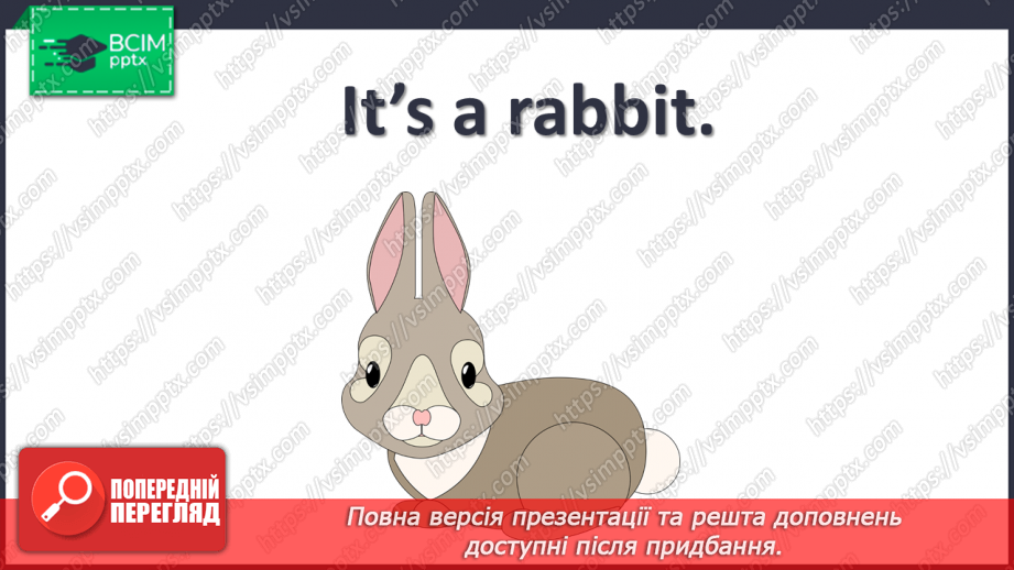 №33 - My pets10