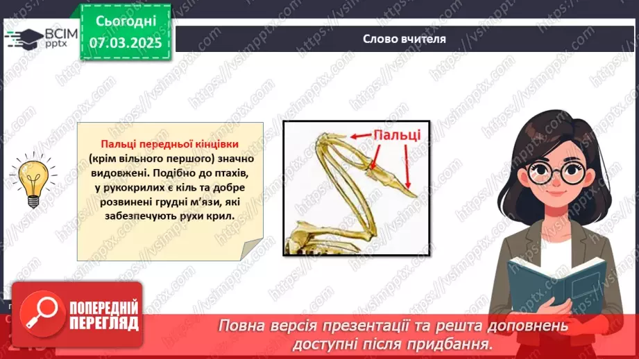 №68 - Різноманітність ссавців. Першозвірі. Сумчасті.  Комахоїдні. Рукокрилі. Гризуни.12