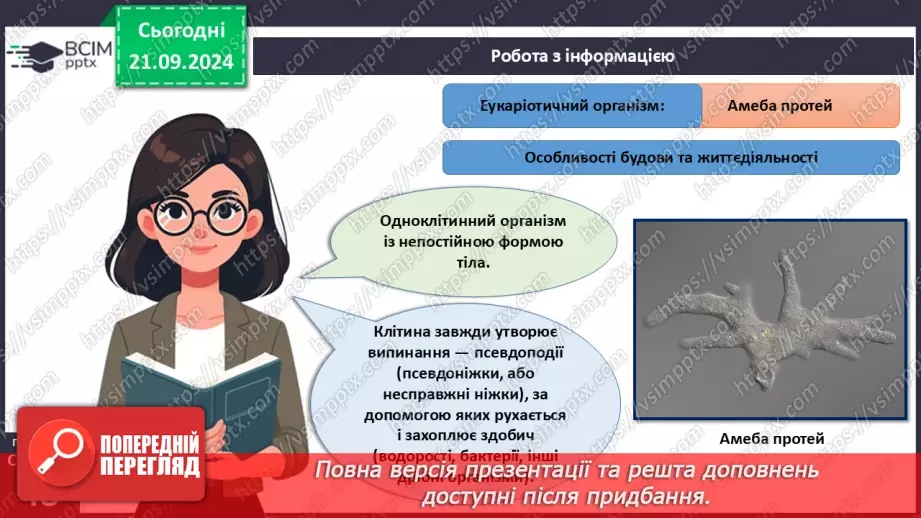 №13 - Особливості будови одноклітинних еукаріотів.12 №13 - Особливості будови одноклітинних еукаріотів.12