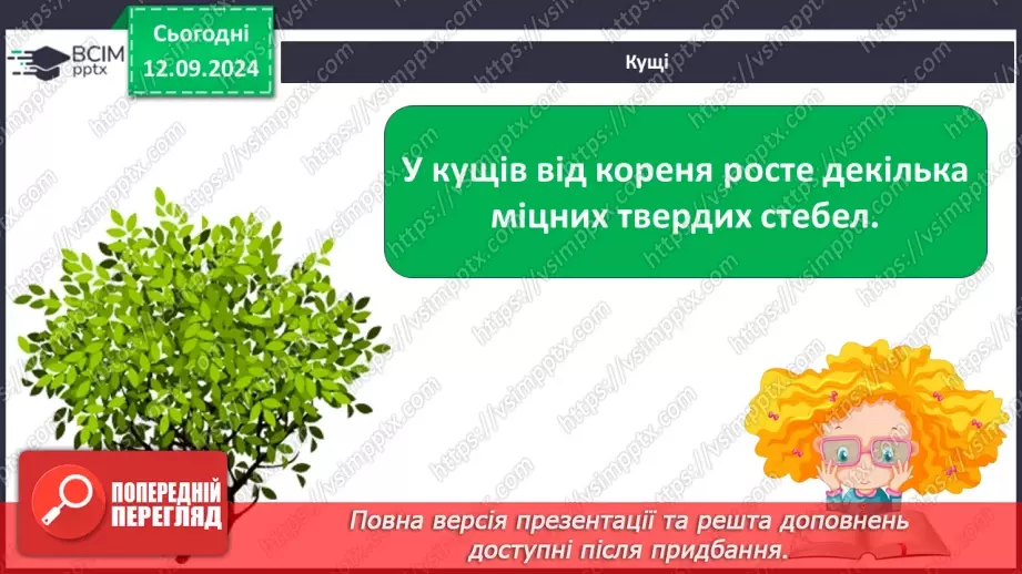 №012 - Якими бувають рослини. Як розрізняють рослини18