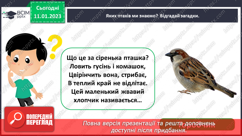 №0057 - Птахи8