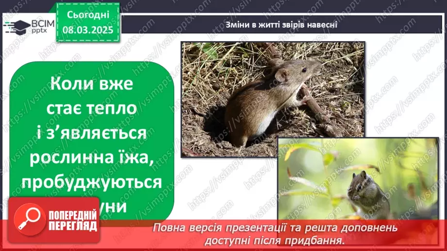 №0078 - Які зміни в житті звірів навесні20 №0078 - Які зміни в житті звірів навесні20