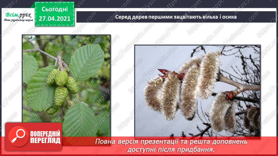 №075 - Як почуваються рослини навесні?17 №075 - Як почуваються рослини навесні?17