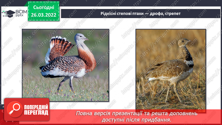 №080 - Лісостеп. Степ15 №080 - Лісостеп. Степ15