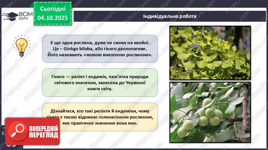 №020 - Голонасінні рослини: значення в екосистемах і використання (продовження).12 №020 - Голонасінні рослини: значення в екосистемах і використання (продовження).12