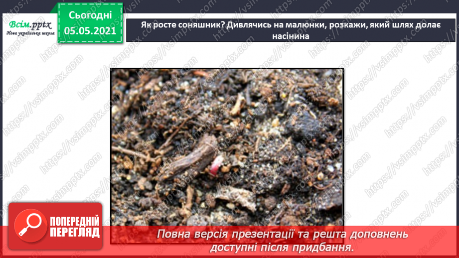 №035 - Сторінка дослідників. Як виростити нову рослину. Умови проростання насіння19 №035 - Сторінка дослідників. Як виростити нову рослину. Умови проростання насіння19