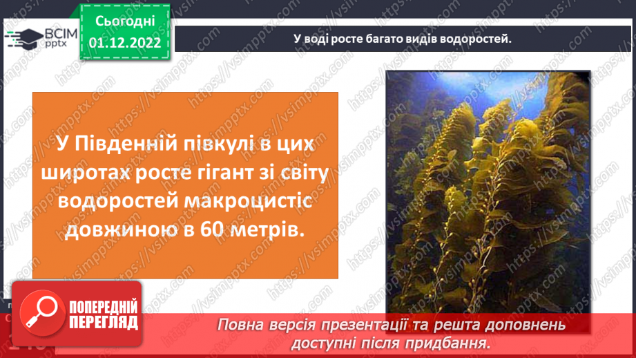 №048 - Мешканці океанів та прісних водойм.5