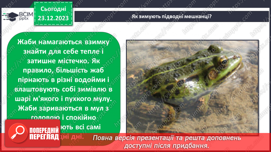 №049 - Зміни в природі взимку. Як зимують тварини?20 №049 - Зміни в природі взимку. Як зимують тварини?20