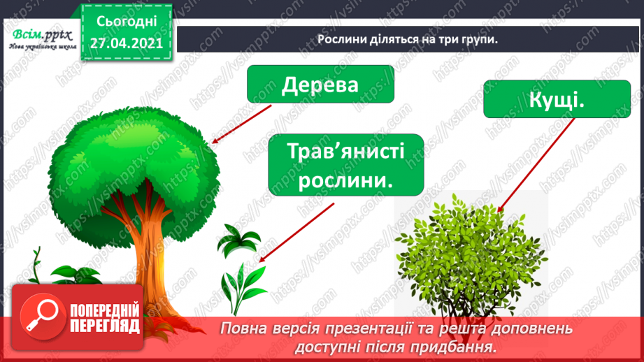 №011 - 012 - Якими бувають рослини? Як розрізняють рослини? Проводимо дослідження. Які умови потрібні рослинам для життя?12