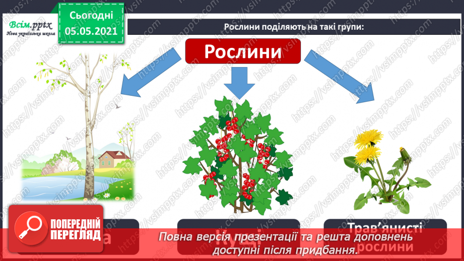 №031 - Рослини — живі організми. Дерева, кущі, трав’янисті рослини18