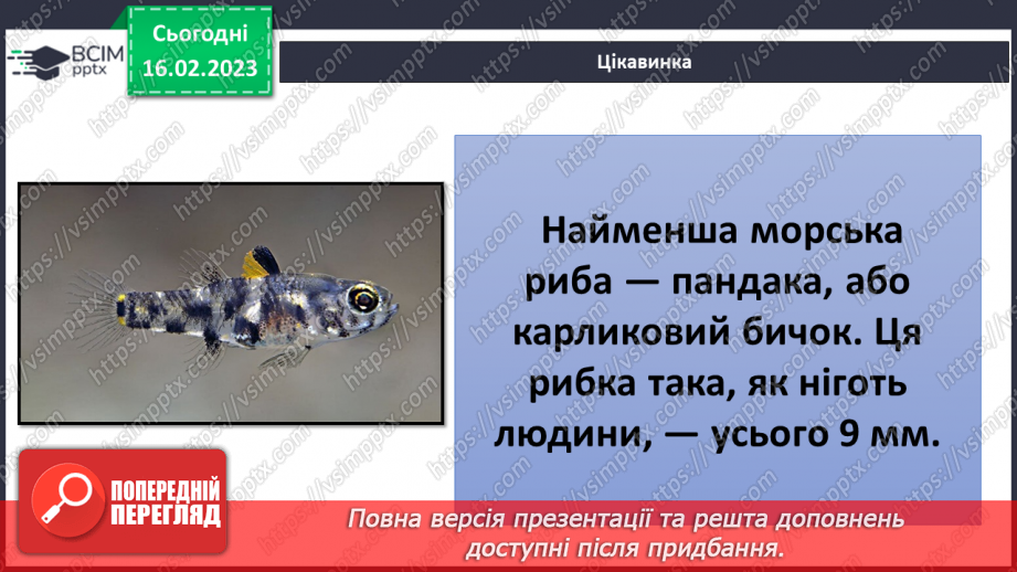 №48 - Хребетні тварини. Будова та спосіб життя хребетних тварин. Практична робота.7