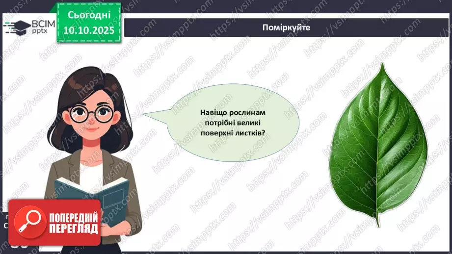 №023 - Покритонасінні рослини: будова бруньки, пагона й листка (продовження).25 №023 - Покритонасінні рослини: будова бруньки, пагона й листка (продовження).25