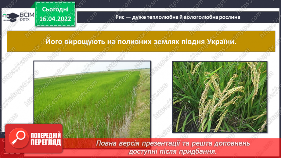 №088 - Рослинництво в рідному краї28
