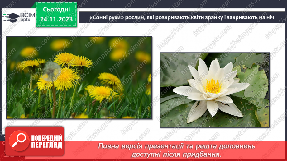 №28 - Чи можливе життя без руху. Різноманітність рухів рослин. Види руху тварин.11