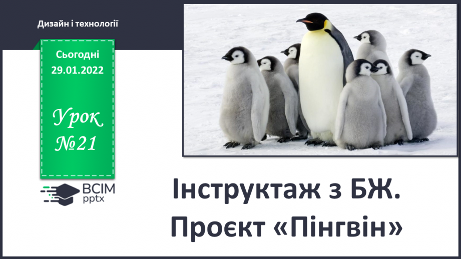 №21 - Інструктаж з БЖ.   Проєкт «Пінгвін»0 №21 - Інструктаж з БЖ.   Проєкт «Пінгвін»0