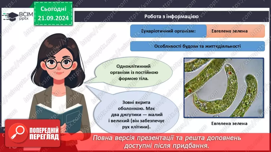 №13 - Особливості будови одноклітинних еукаріотів.10 №13 - Особливості будови одноклітинних еукаріотів.10