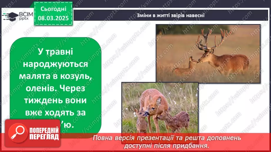 №0078 - Які зміни в житті звірів навесні18 №0078 - Які зміни в житті звірів навесні18