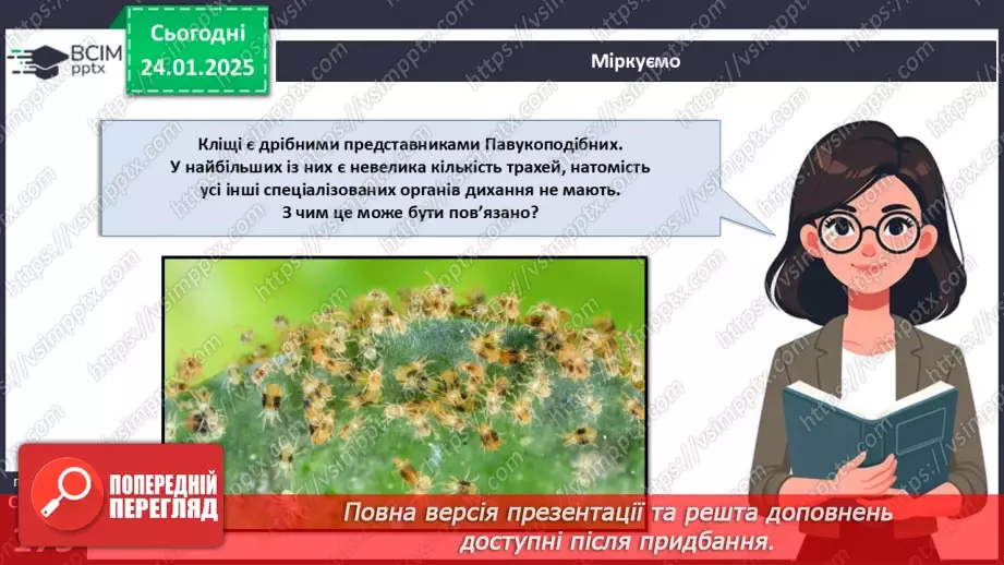 №55 - Павукоподібні.23 №55 - Павукоподібні.23