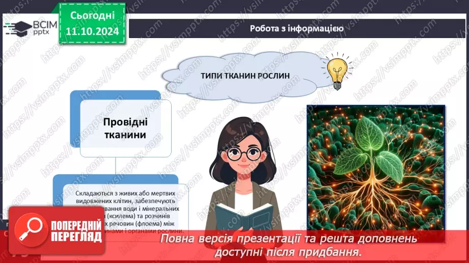 №23 - Тканини і органи рослин.12 №23 - Тканини і органи рослин.12