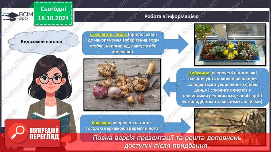 №26 - Видозміни вегетативних органів рослин.11 №26 - Видозміни вегетативних органів рослин.11