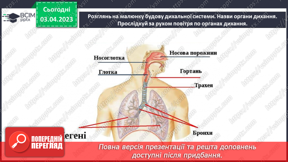 №59 - Узагальнення розділу «Пізнаємо організм людини в середовищі його існування». Самооцінювання навчальних результатів теми.9