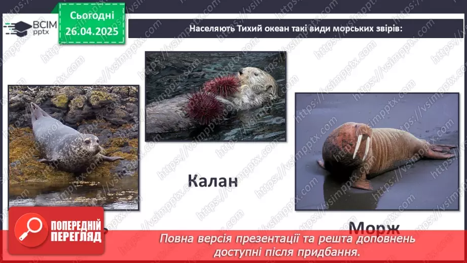 №63 - Чим знаменитий Тихий океан.24