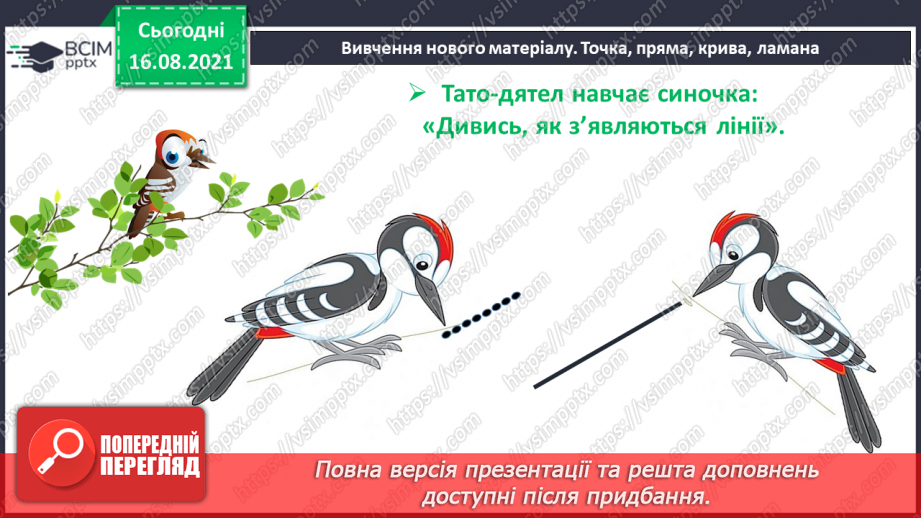 №003 - Спільні й відмінні ознаки. Точка, пряма, крива, ламана. Підготовчі вправи до написання цифр10