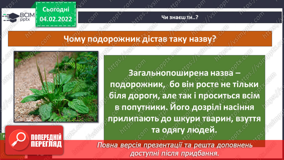 №064-65 - У чому сила подорожника? Комікс: «Що таке справедливість?»10
