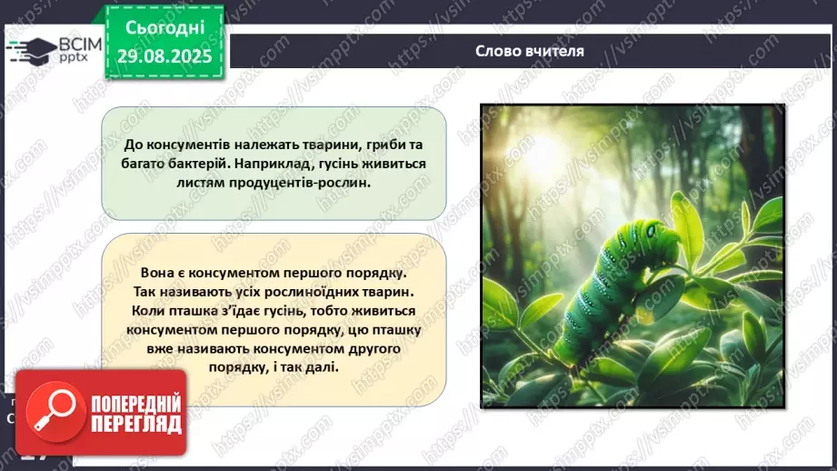 №005 - Структура та закономірності функціонування екосистем. Побудова ланцюга живлення.  STEAM ПРОЄКТ «Дизайн штучної екосистеми «Акваріум»»18 №005 - Структура та закономірності функціонування екосистем. Побудова ланцюга живлення.  STEAM ПРОЄКТ «Дизайн штучної екосистеми «Акваріум»»18