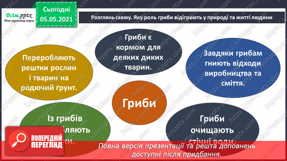 №049 - Гриби.16 №049 - Гриби.16