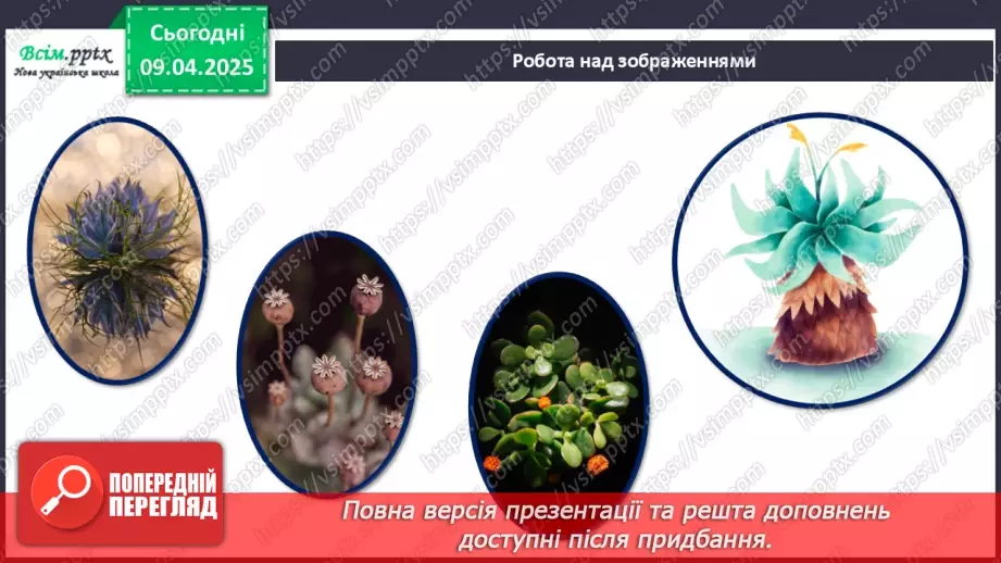 №30 - Комбіновані роботи. Проєктна робота «Чарівні рослини».7 №30 - Комбіновані роботи. Проєктна робота «Чарівні рослини».7