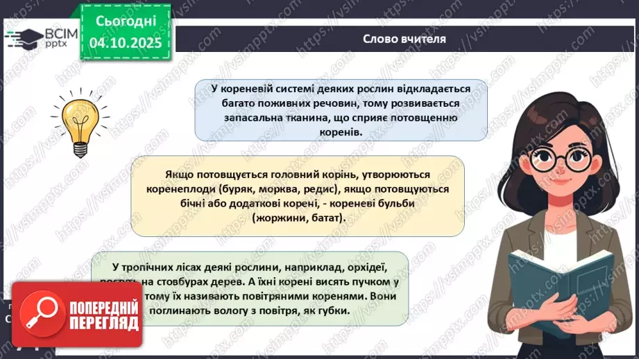 №021 - Покритонасінні рослини: тканини та будова кореня23 №021 - Покритонасінні рослини: тканини та будова кореня23
