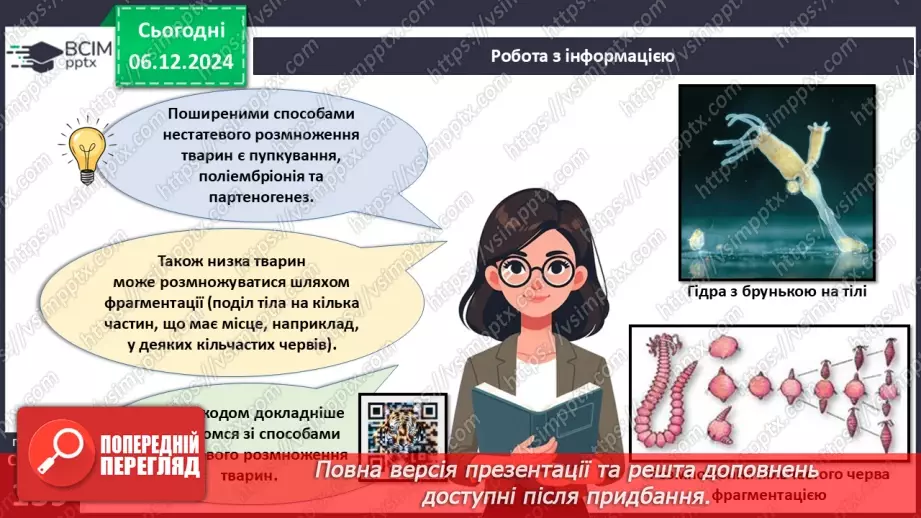 №43 - Розмноження і розвиток тварин. Репродуктивна система.9