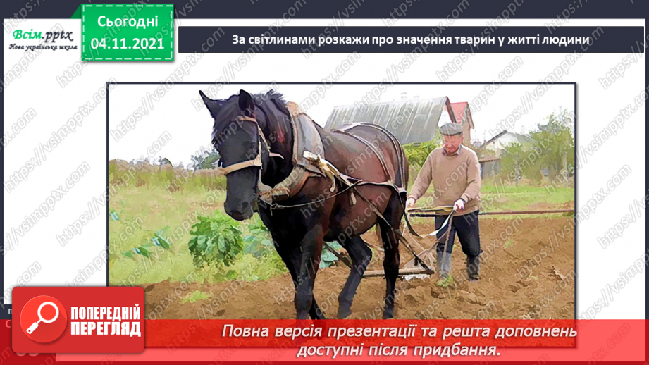 №040 - Як тварини пристосувалися добувати корм24 №040 - Як тварини пристосувалися добувати корм24