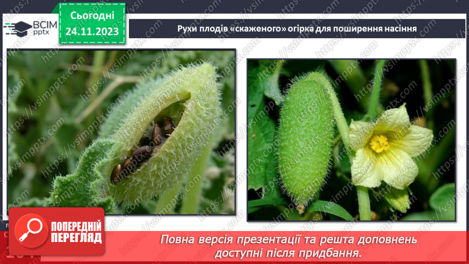 №28 - Чи можливе життя без руху. Різноманітність рухів рослин. Види руху тварин.14
