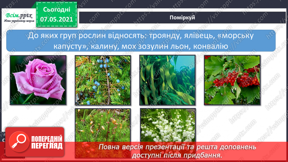 №036 - Які бувають рослини16 №036 - Які бувають рослини16